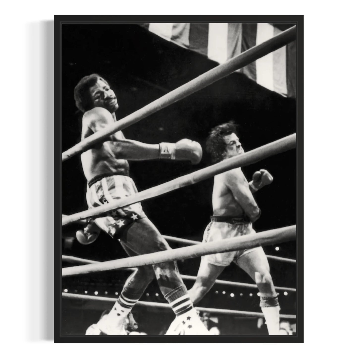 Rocky Balboa Fight Scene Wall Art canvas