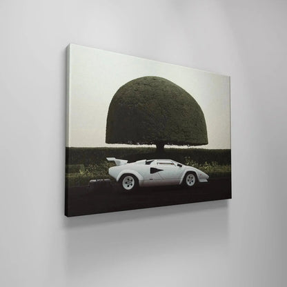 Artistic crop highlighting the dome-shaped hedge and the sleek roofline of the car in '6 am In Hamptons'.