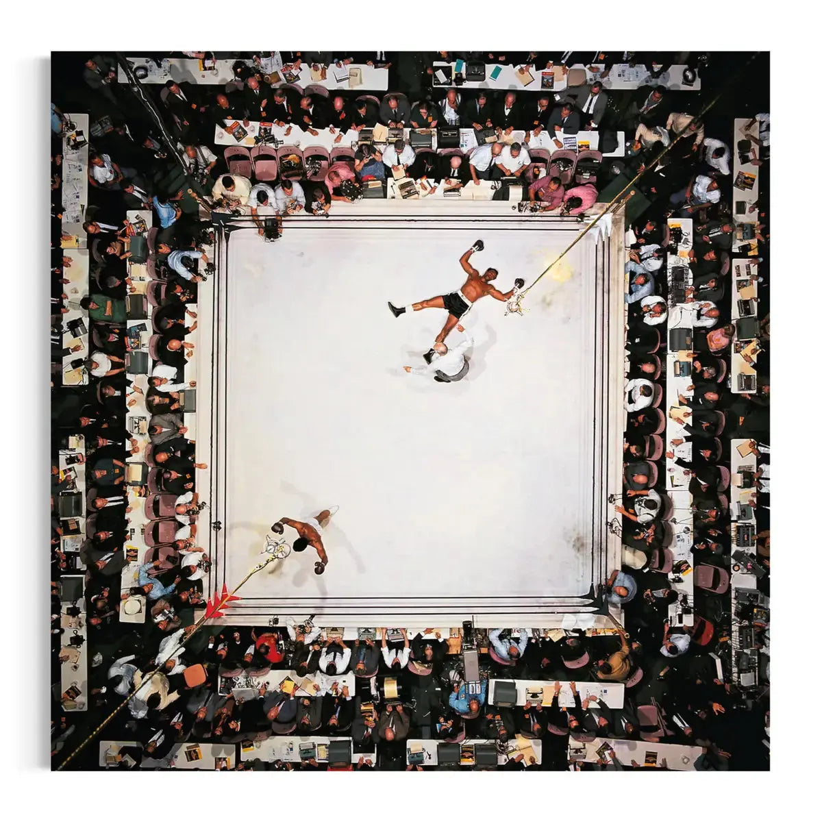 Muhammad Ali Aerial Knockout – Boxing Ring Wall Art Canvas