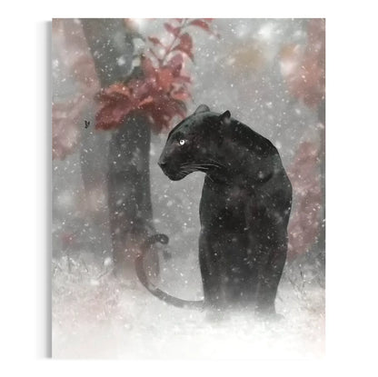 Black Panther Animal