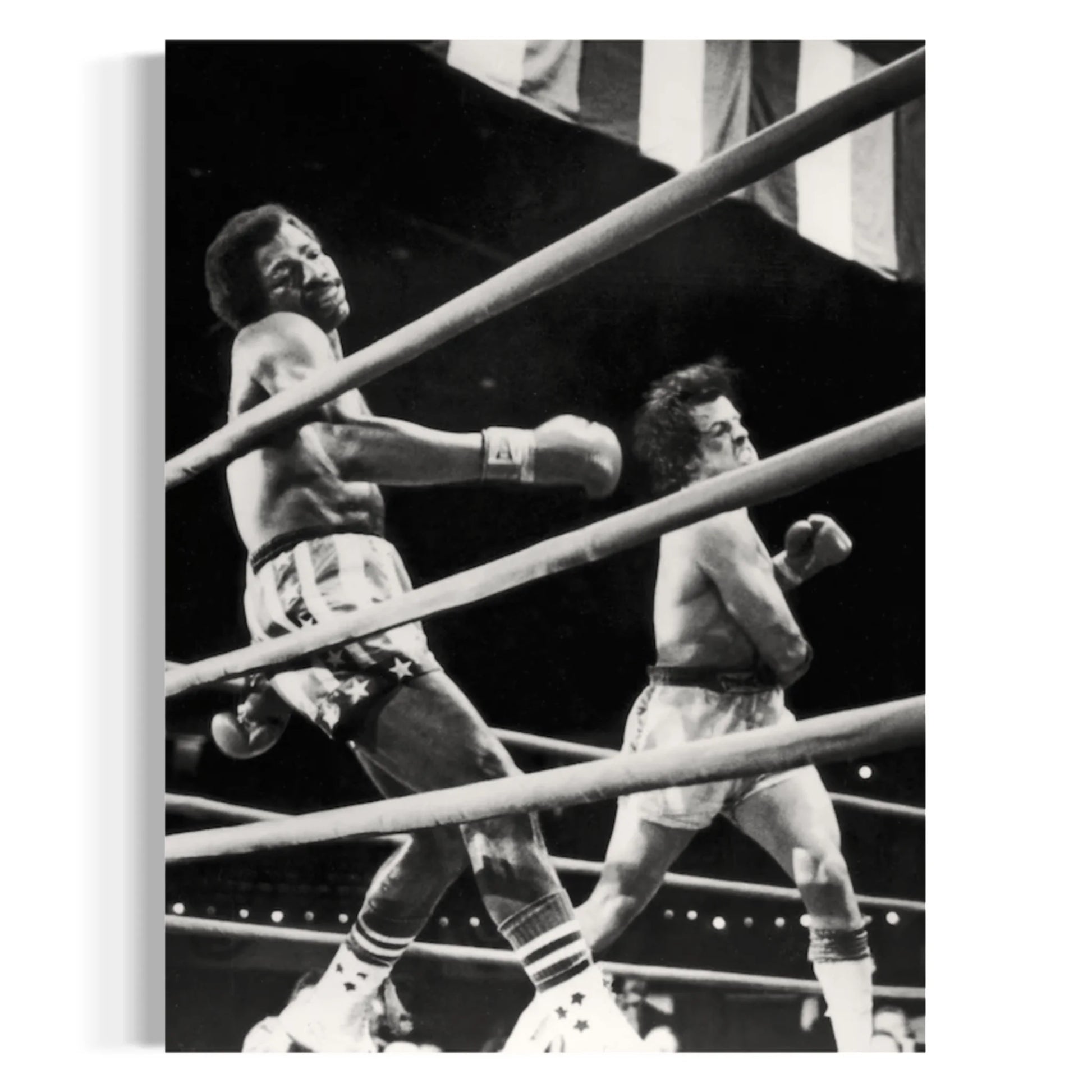 Rocky Balboa Fight Scene Wall Art