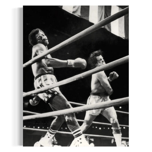 Rocky Balboa Fight Scene Wall Art