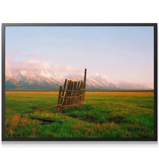 Close-up texture of the weathered, rustic wood forming A Fence in Jackson in the field.