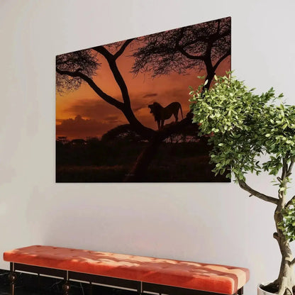 Wide shot of the savanna landscape with an African lion standing on a high branch.