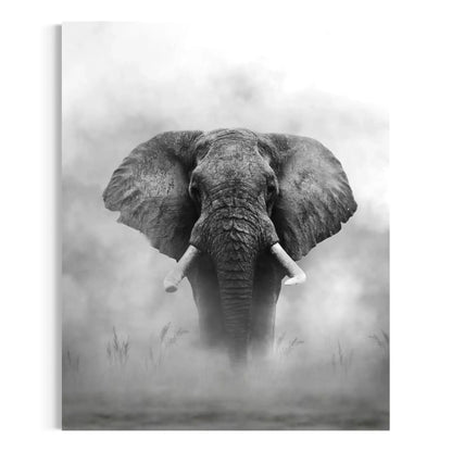Elegant Elephant Print Canvas Wall Art
