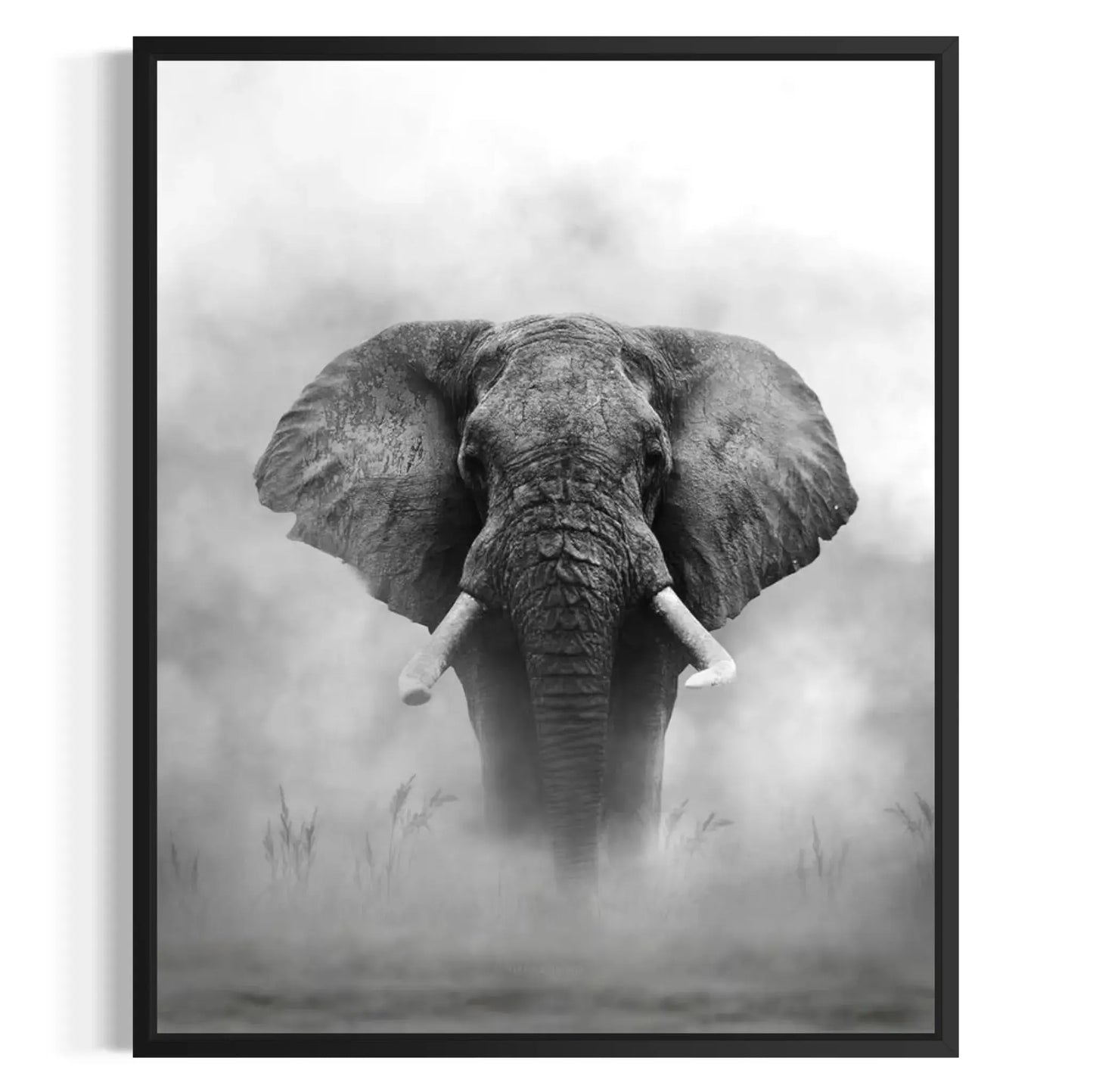 Print Canvas Wall Art