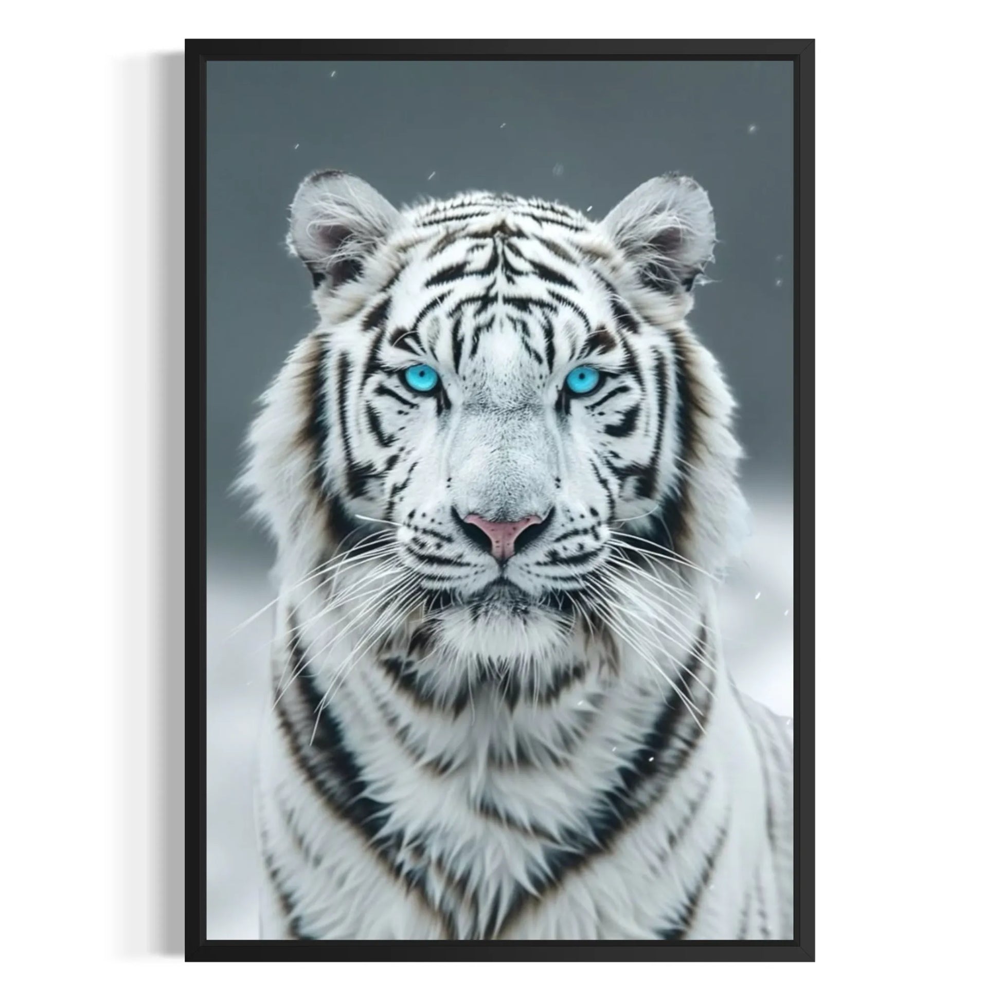 Framed white tiger with piercing eyes – wildlife photography for luxury walls