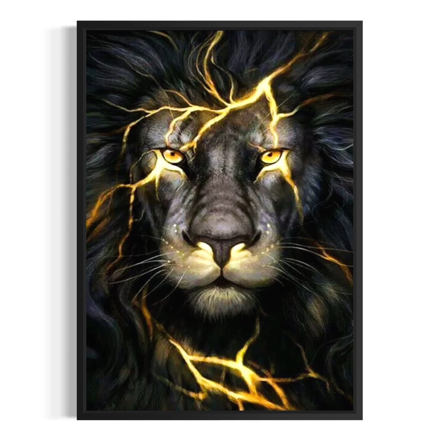 lion with dark mane illuminated