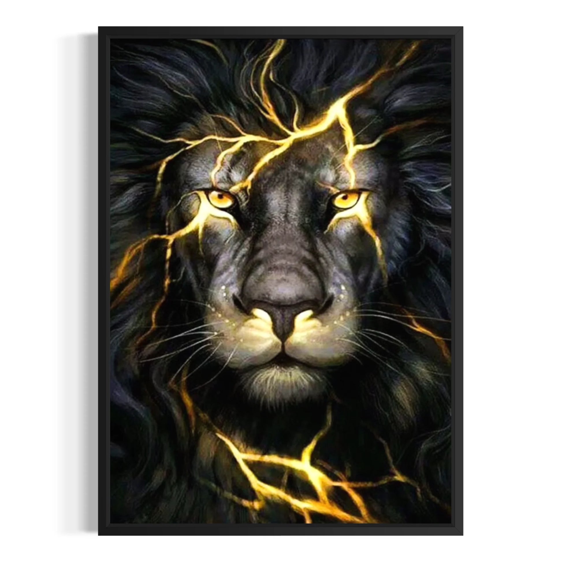 lion with dark mane illuminated
