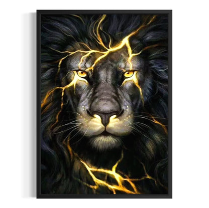 lion with dark mane illuminated