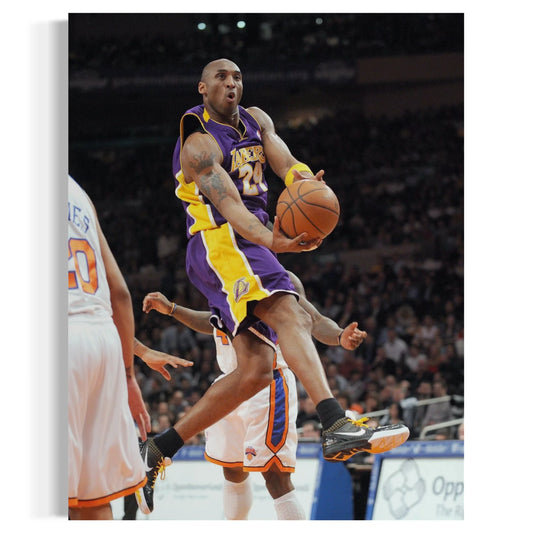 Mamba Basketball Art