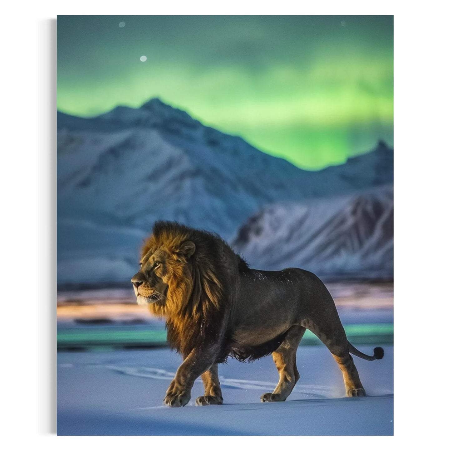 Majestic lion walking in snow with northern lights and mountains in the background – fantasy wildlife artwork