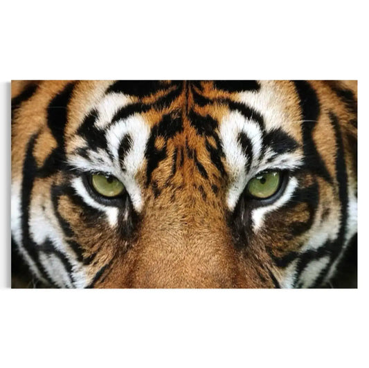 tiger-art-canvas