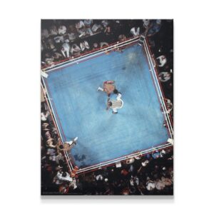 Muhammad Ali – Lions Den Wall Art Muhammad Ali - Lions Den
