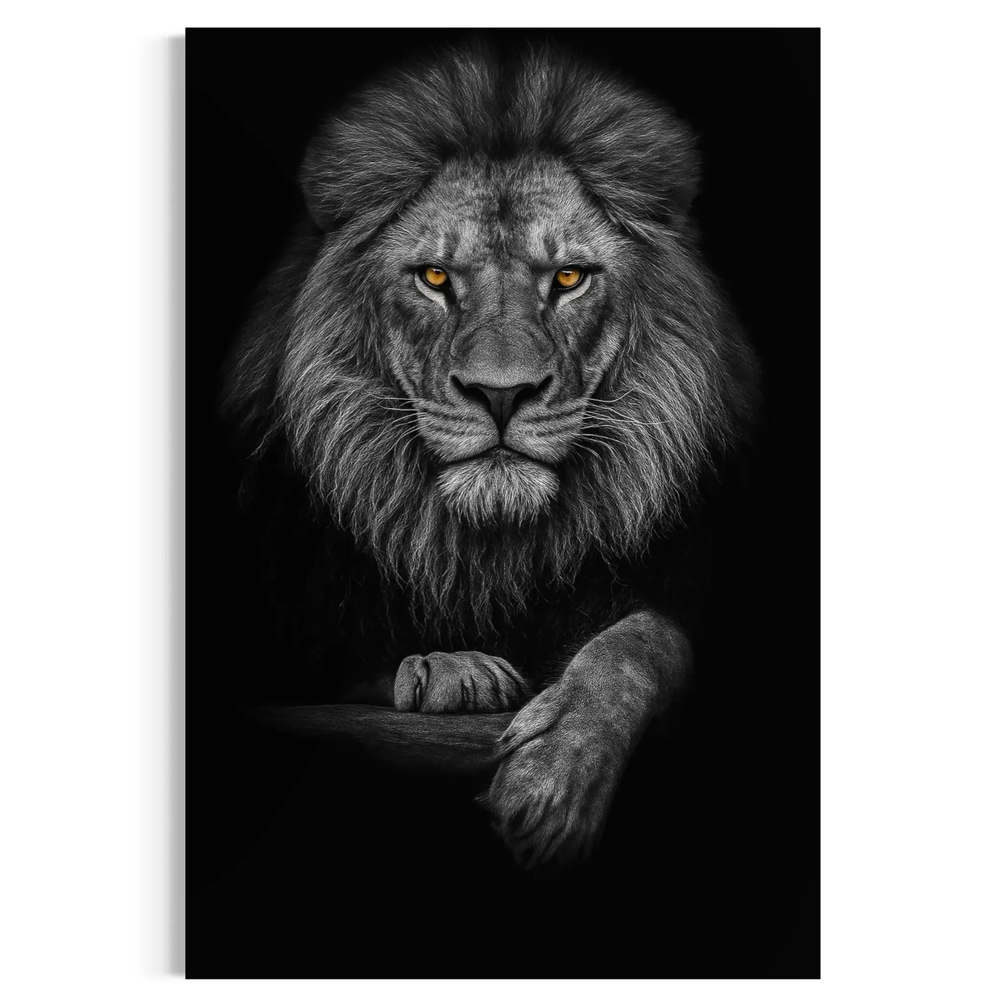 Golden Eyed Lion