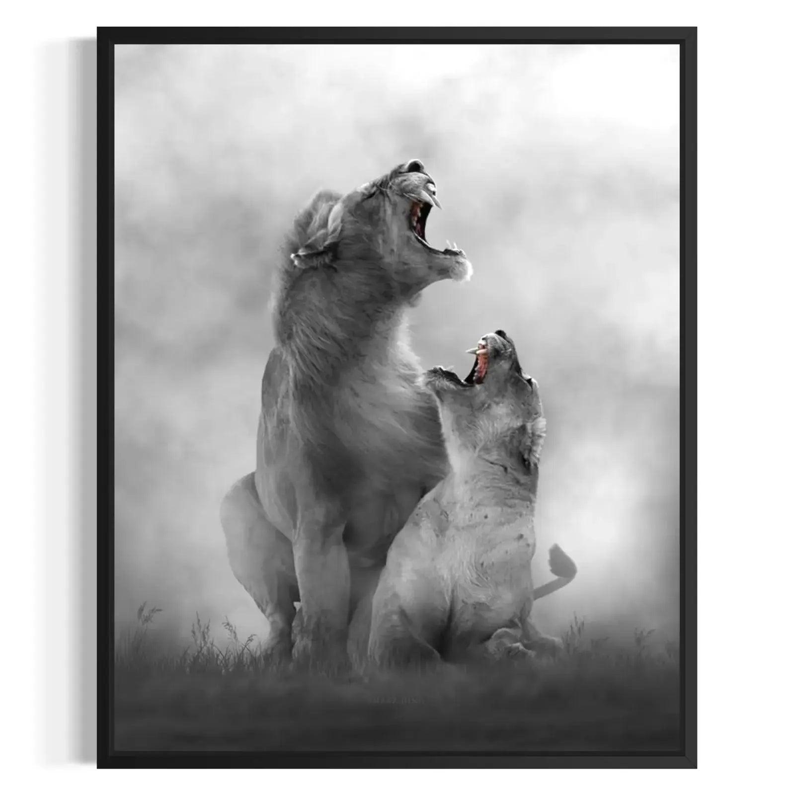 Lion Roar Roar