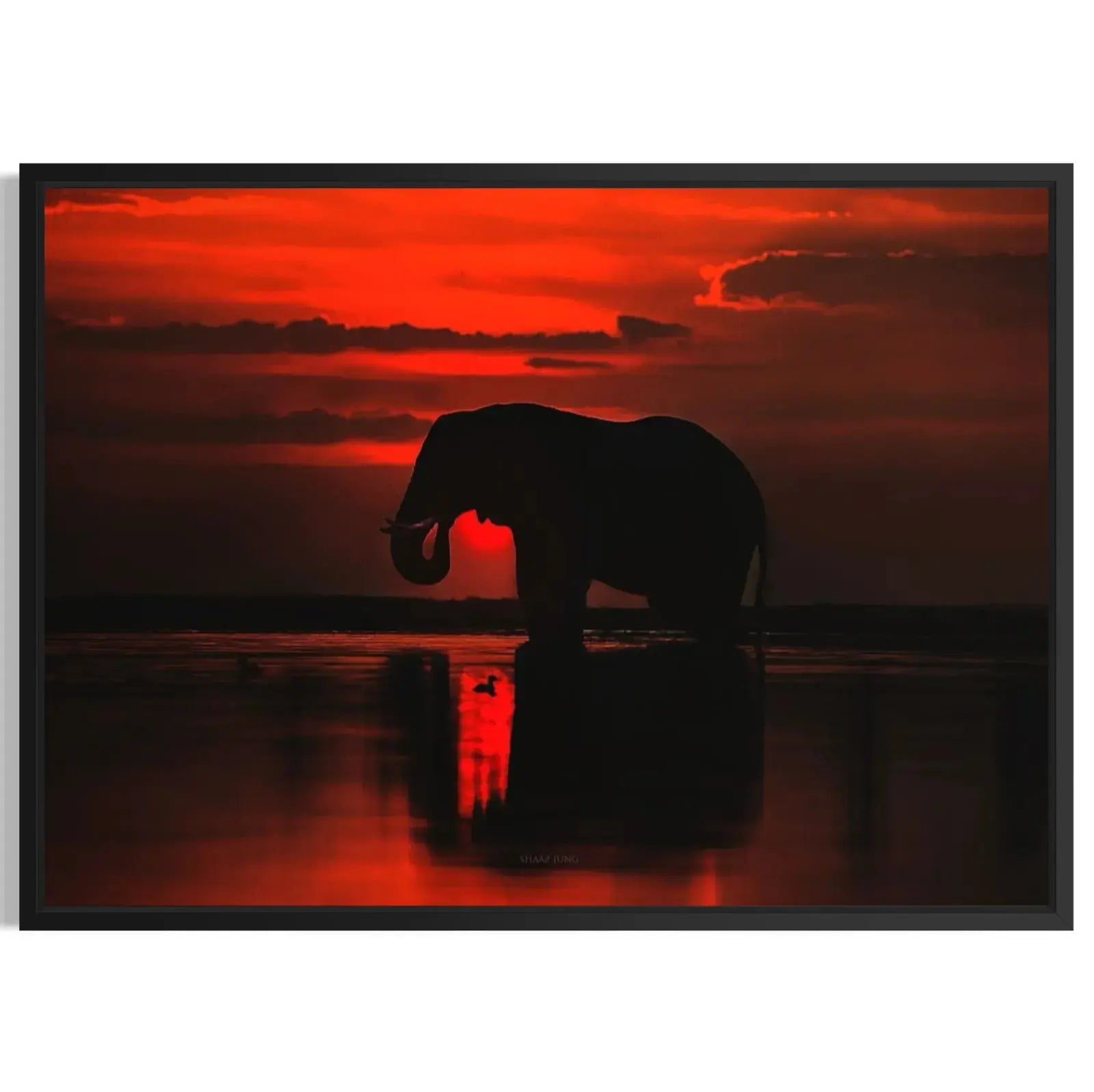 Elephant Silhouette Masterpeacewall