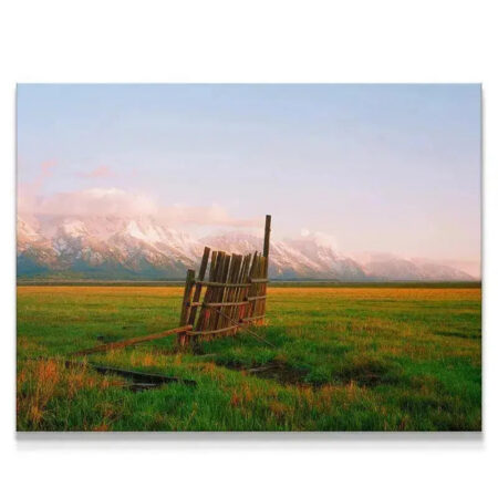 A Fence in Jackson