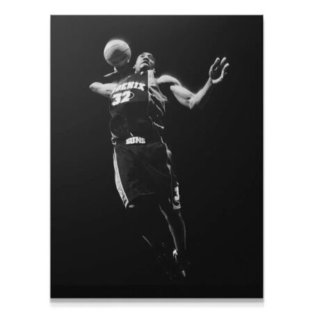 Amar'e Stoudemire