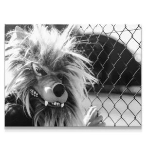 Big Bad Wolf Wall Art Big Bad Wolf
