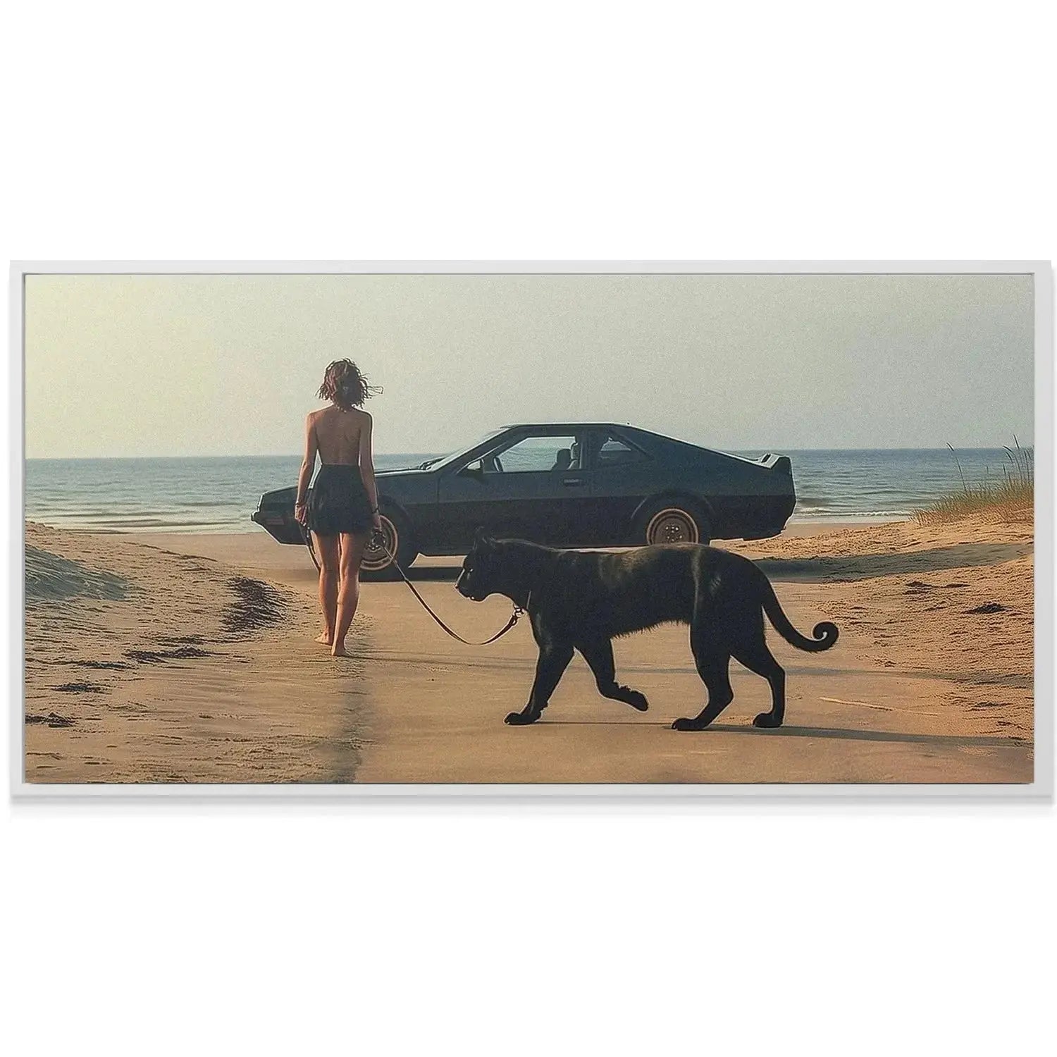 Low-angle view capturing the imposing and powerful stride of the majestic Black Panther on its leash.