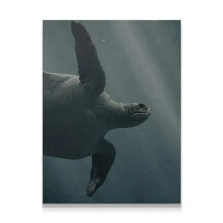 Close-up profile of a sea turtle swimming upwards, highlighting the detail of the Blue Creatures.