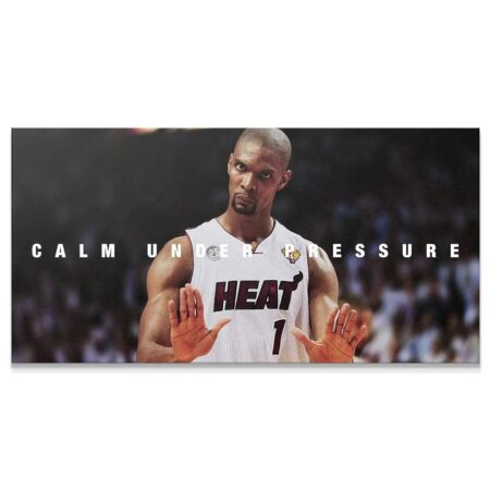 Wide shot of Chris Bosh - Calm holding his hands up in defense on the court
