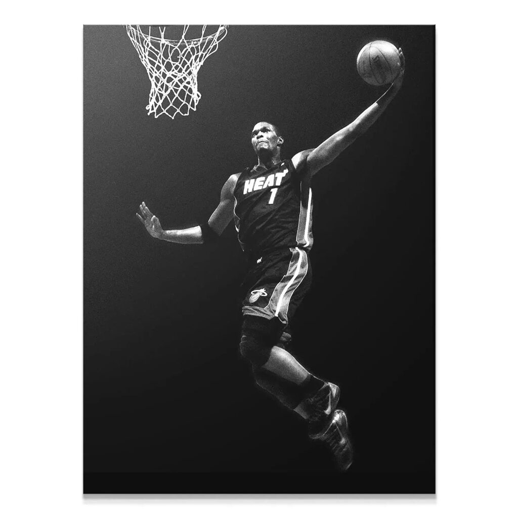 Chris Bosh - Dunk #2