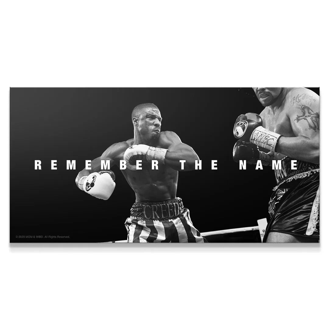 Wide-angle shot of intense boxing match artwork Creed - Remember The Name.
