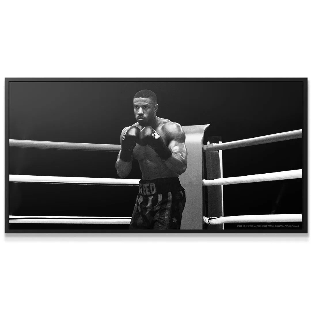 High-contrast black and white texture of the boxing scene, 'Creed - Round 1'.