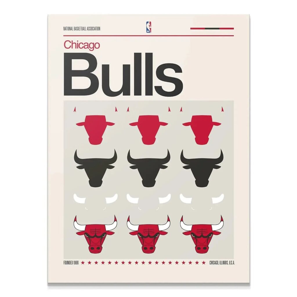 Deconstructed Logo - Bulls