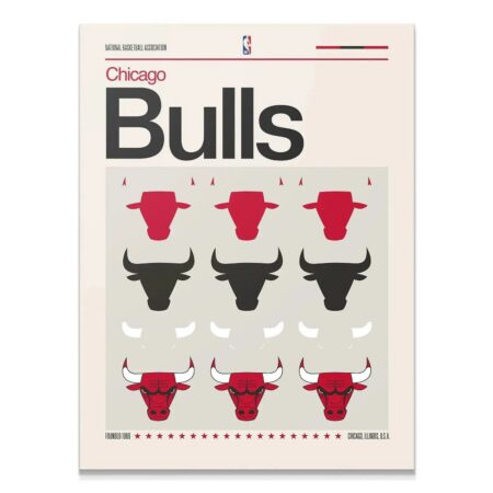Full view of the minimalist Deconstructed Logo - Bulls print detailing the three-row graphic sequence.