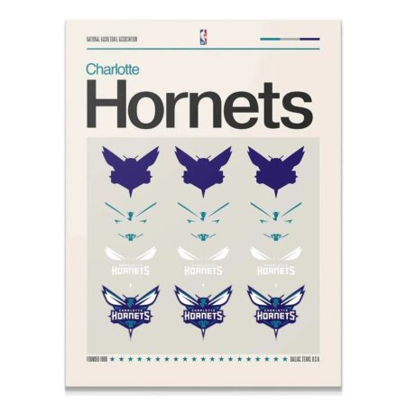Full view of the minimalist white and purple official Deconstructed Logo - Hornets print detailing logo components.