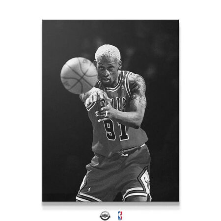 Full canvas view showing the legendary Bulls player in the artwork Dennis Rodman - Perspective.