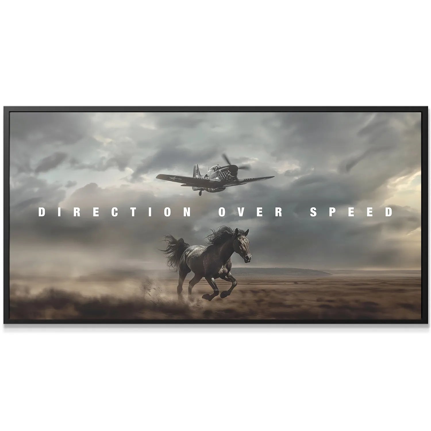 Close-up texture of the 'Direction Over Speed' canvas showing the airplane silhouette against the clouds.