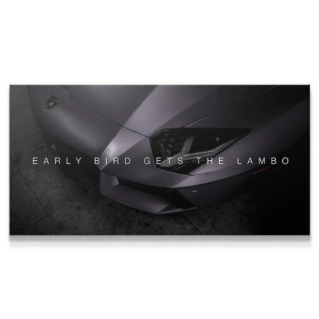 Close-up angle showing the single headlight texture and sharp lines of the Early Bird Lambo print.