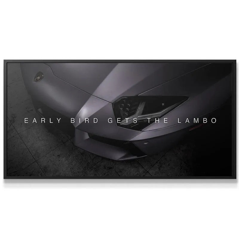 Dramatic, low-angle view highlighting the aggressive matte grey paint finish on the Early Bird canvas.
