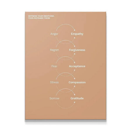 Full overhead shot of the diagram illustrating the path of Emotional Reframing.