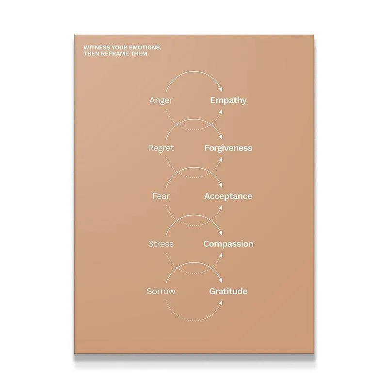 Full overhead shot of the diagram illustrating the path of Emotional Reframing.