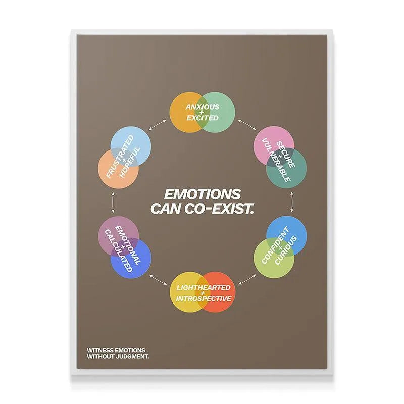 Top-down overhead view of the framed 'Emotions can co-exist' chart showing the Anxious and Excited circles.