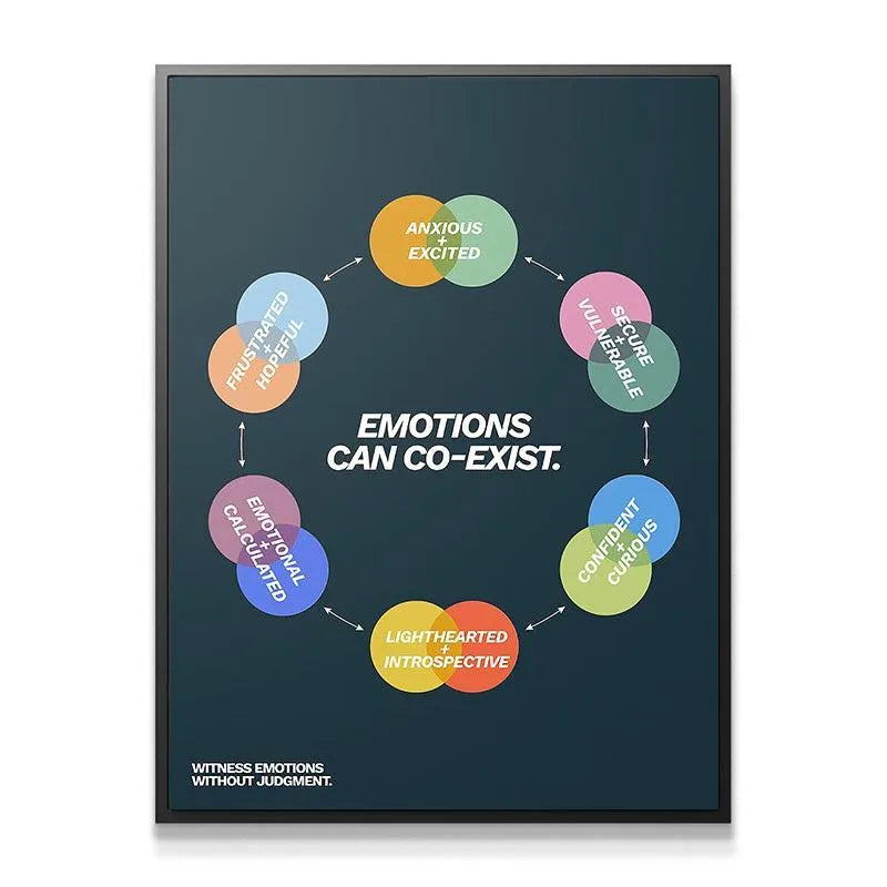 Close-up on the overlapping circles showing 'Anxious + Excited' in the 'Emotions can co-exist N.2' chart.