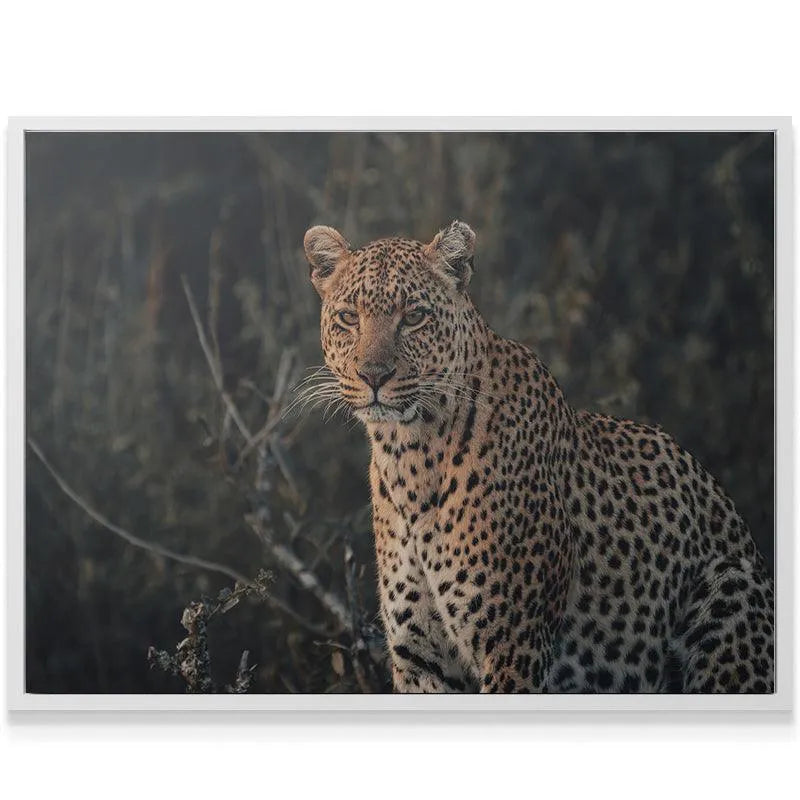 High-resolution detail of the leopard's spotted fur and coat pattern, highlighting the texture around the 'Eyes of Beauty'.