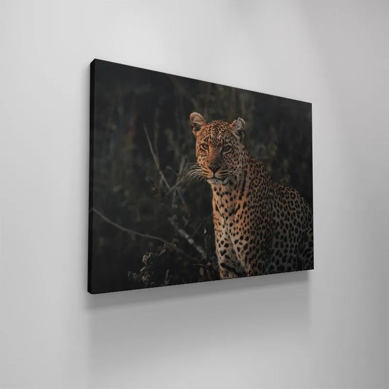 Museum-quality canvas print featuring the fierce wildlife photography titled 'Eyes of Beauty'.