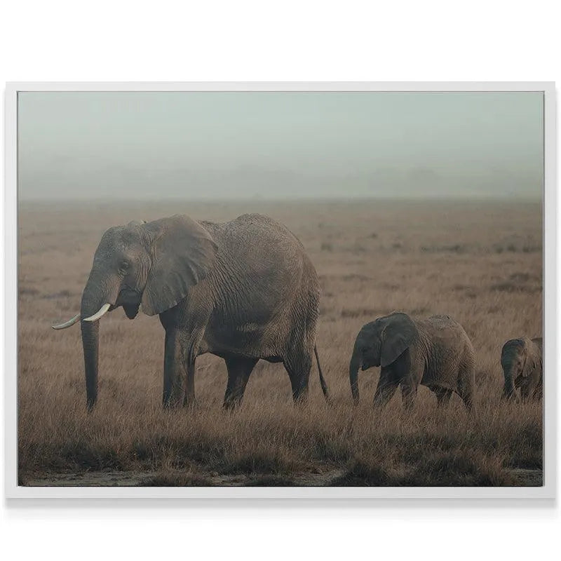 Detail shot showing the two young elephant calves faithfully following their guide during their silent Family Strolls.