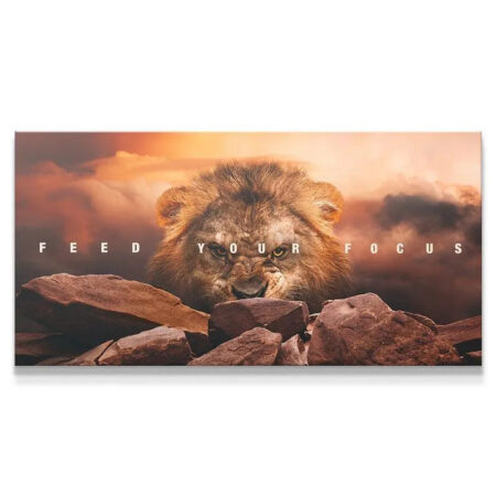 Close-up view of the intense lion's eyes and fur texture on the 'Feed Your Focus' motivational canvas.