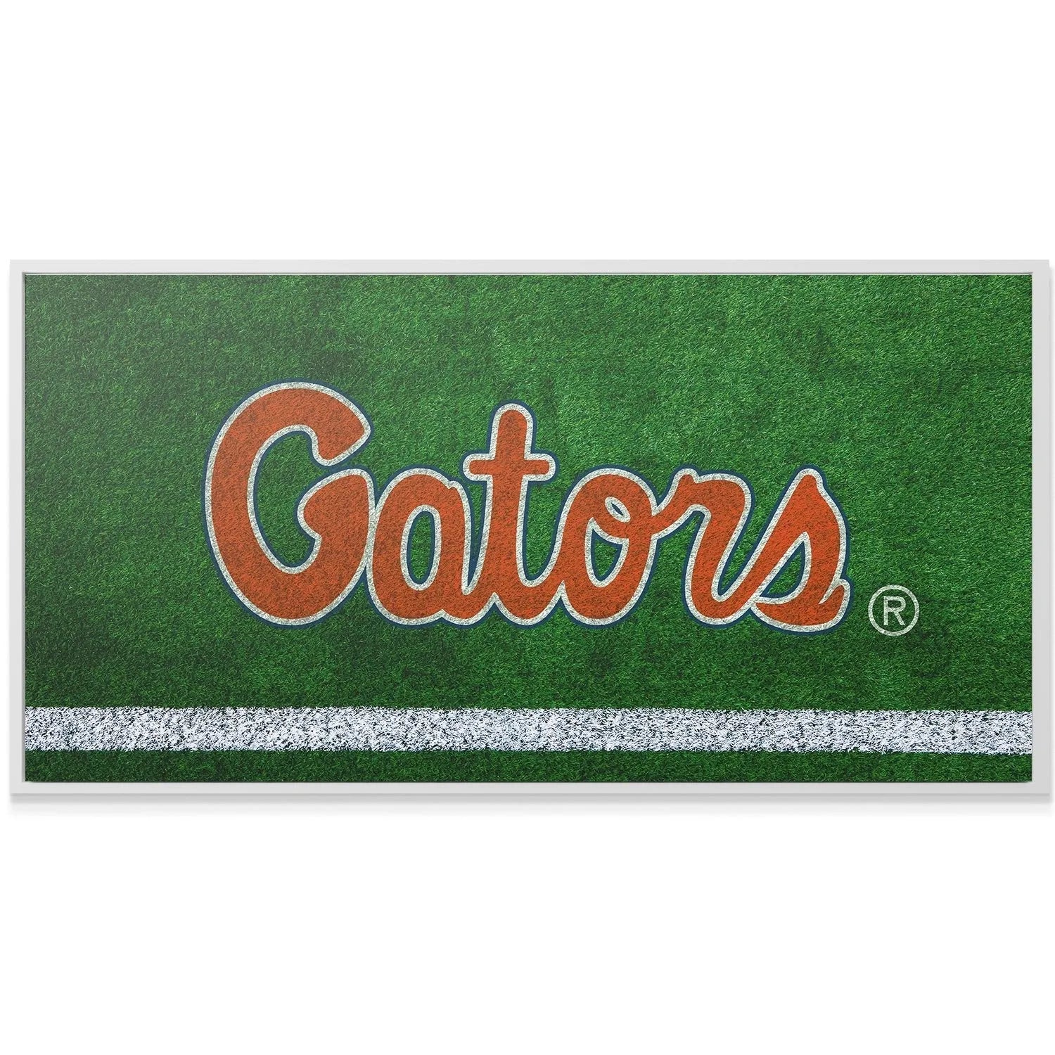 Panoramic crop showcasing the full width of the Florida - Field Logo artwork and white field boundary line.