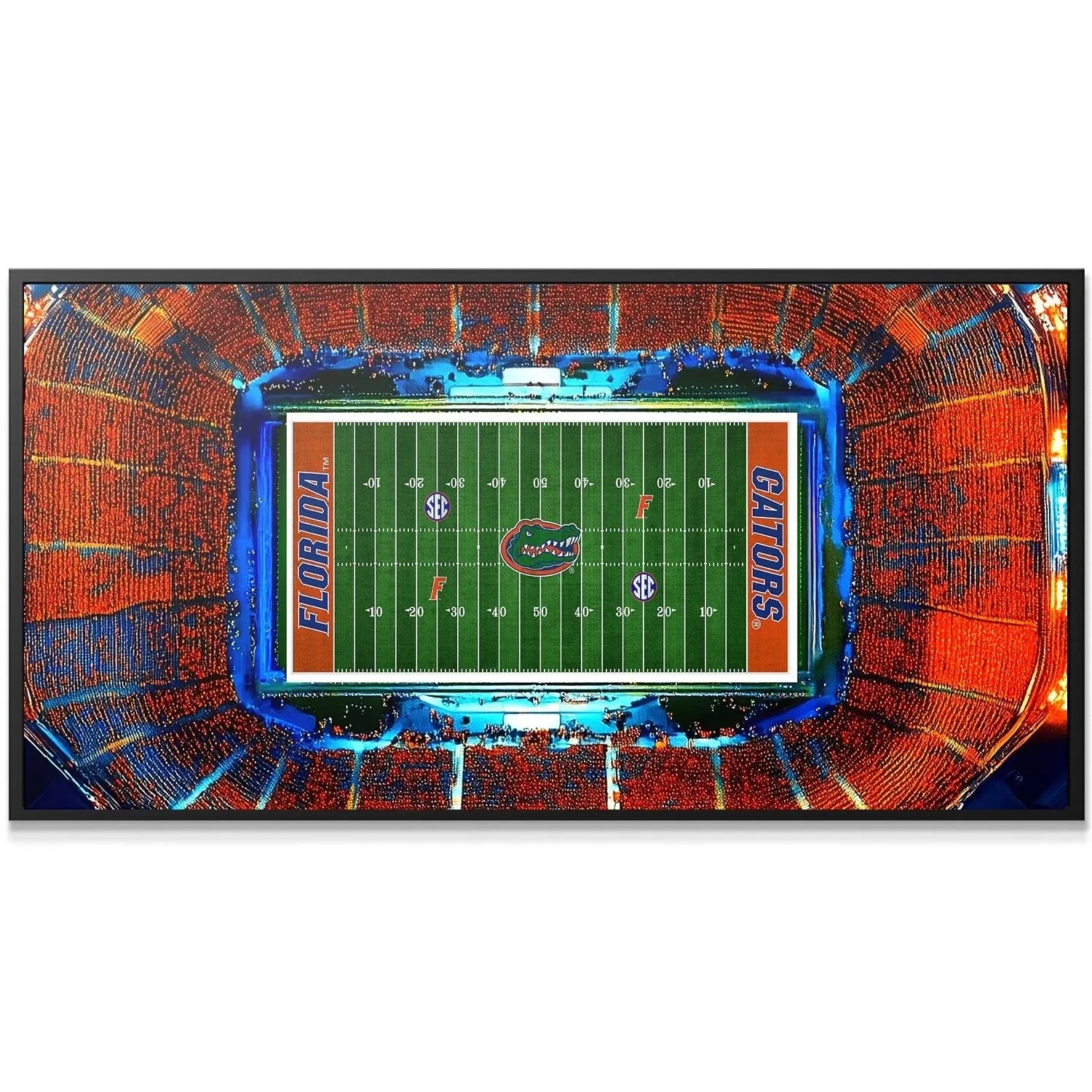Close-up shot of the midfield Gator logo design within the Florida - Stadium artwork.