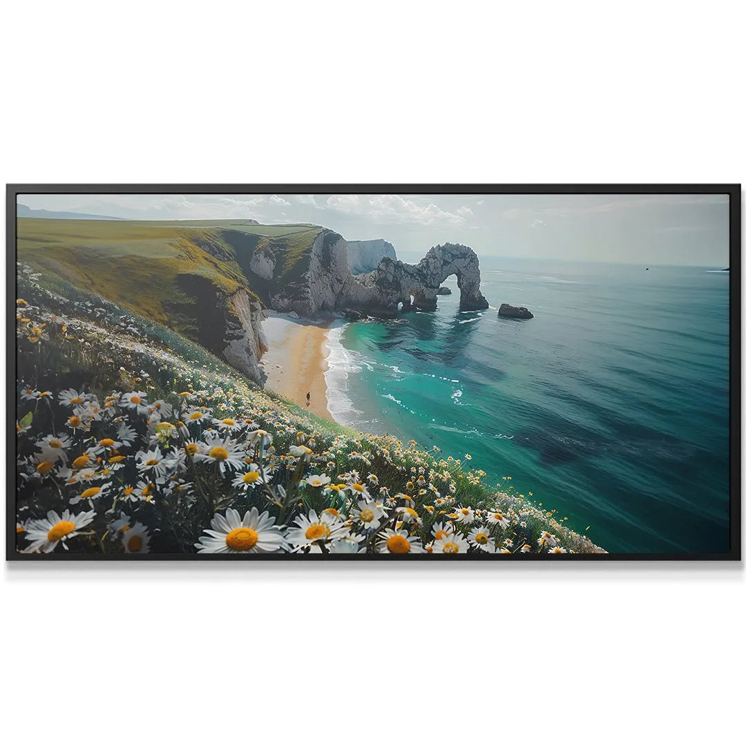 Close-up texture shot of the white and yellow daisies lining the foreground of the Flower Coast image.