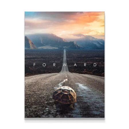 Full overhead view of the 'Forward' motivational poster showing the tortoise centered.