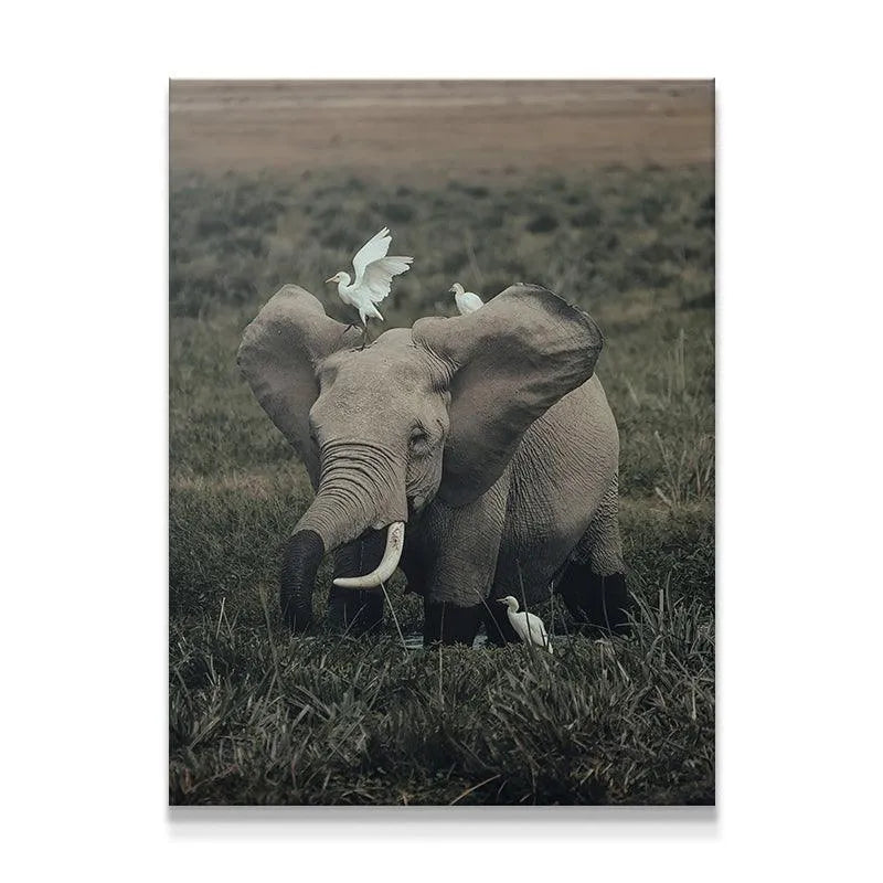 Full view of African elephant and white egrets in tall grass, titled 'Friends from Far'.
